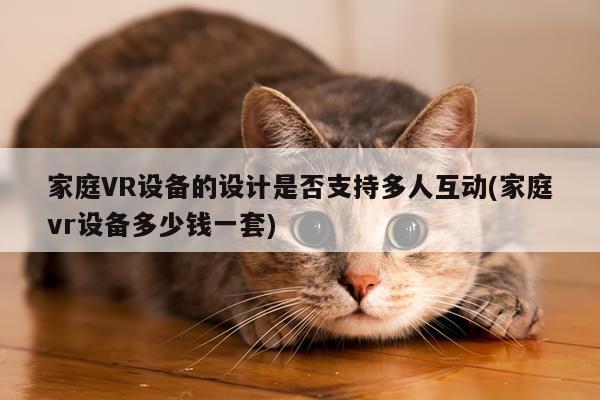 家庭VR设备的设计是否支持多人互动(家庭vr设备多少钱一套)：beat365亚洲体育