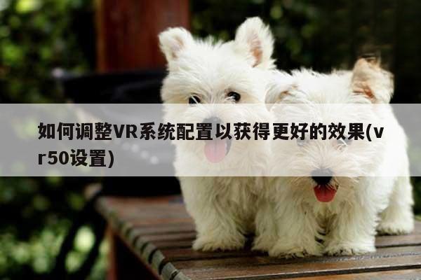 如何调整VR系统配置以获得更好的效果(vr50设置)：beat365亚洲体育