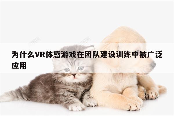 为什么VR体感游戏在团队建设训练中被广泛应用|beat365官网入口