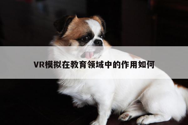 VR模拟在教育领域中的作用如何|beat365官网入口