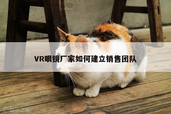 VR眼镜厂家如何建立销售团队：beat365亚洲体育