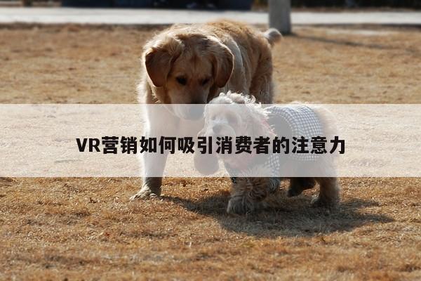 VR营销如何吸引消费者的注意力：beat365官网入口