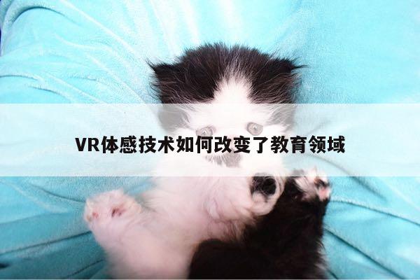 beat365亚洲体育：VR体感技术如何改变了教育领域