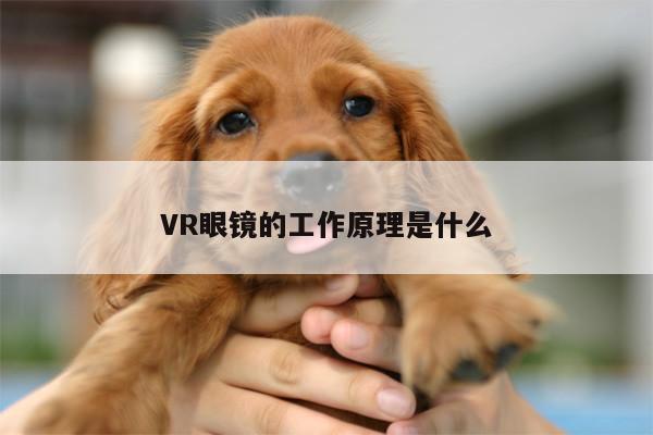 VR眼镜的工作原理是什么|beat365唯一官网