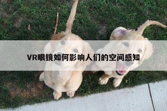 VR眼镜如何影响人们的空间感知|beat365官网入口