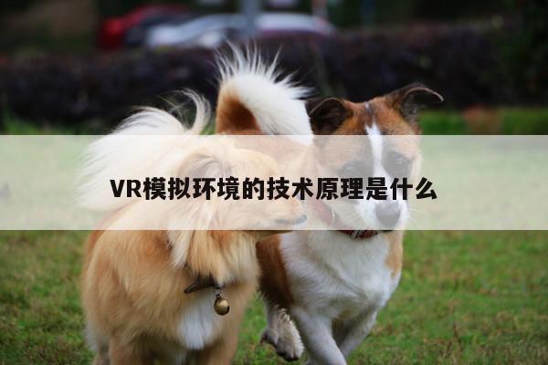 VR模拟环境的技术原理是什么|beat365唯一官网