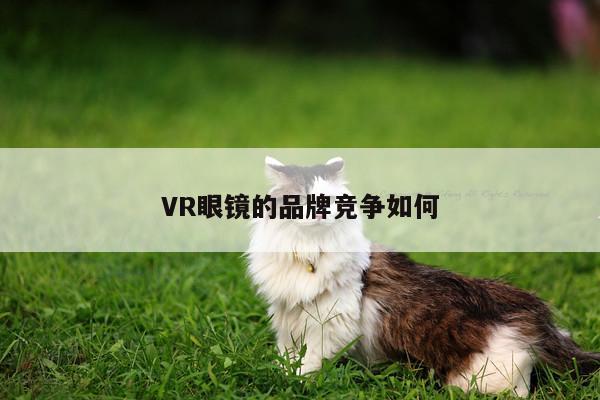 【beat365唯一官网】VR眼镜的品牌竞争如何