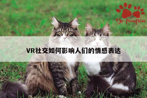 VR社交如何影响人们的情感表达-beat365官网入口